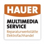 Hauer Multimedia Service, Herbert Hauer